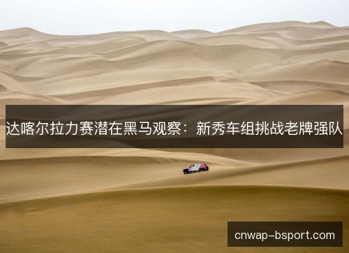 达喀尔拉力赛潜在黑马观察：新秀车组挑战老牌强队